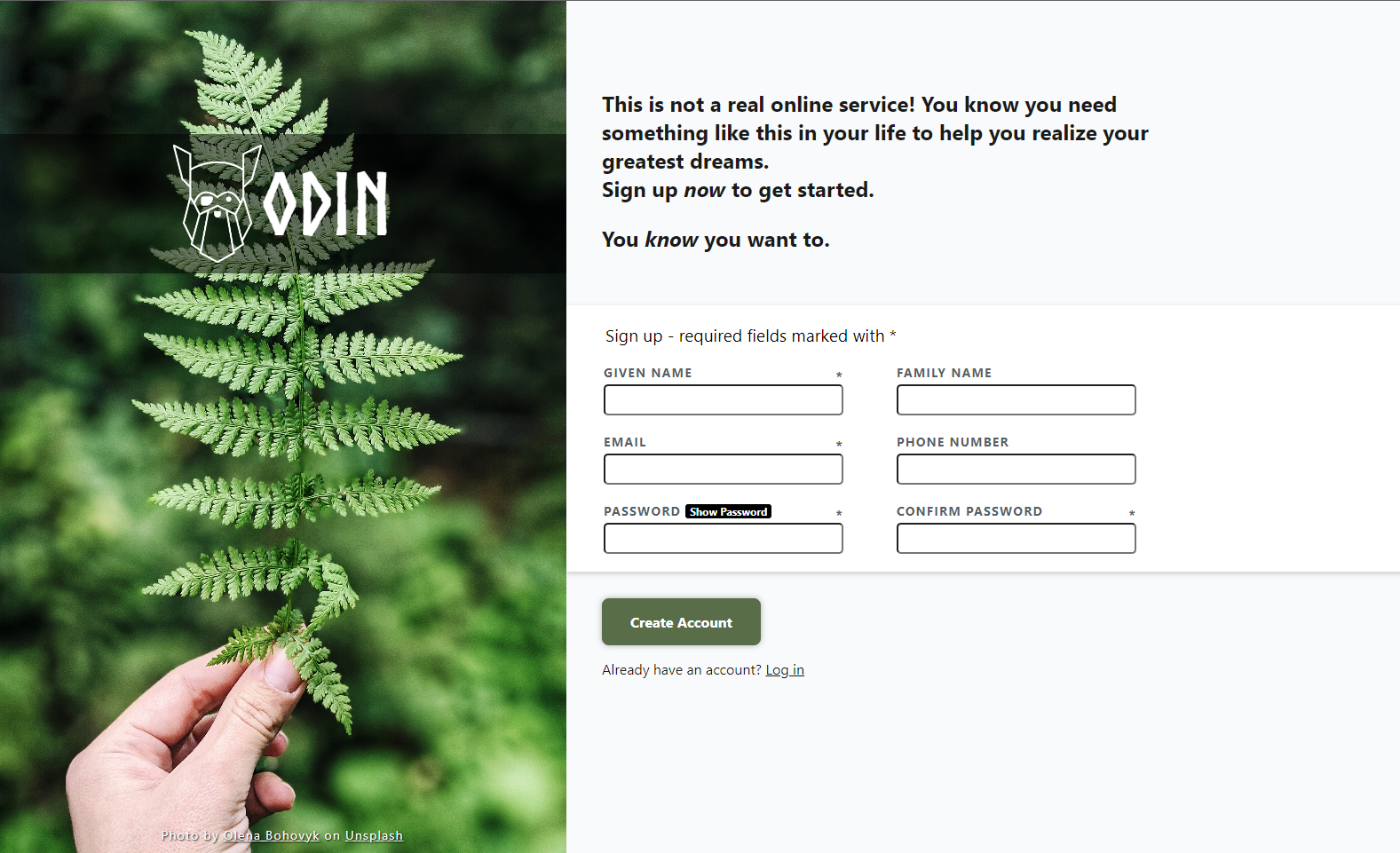 Thumbnail of sign up form project